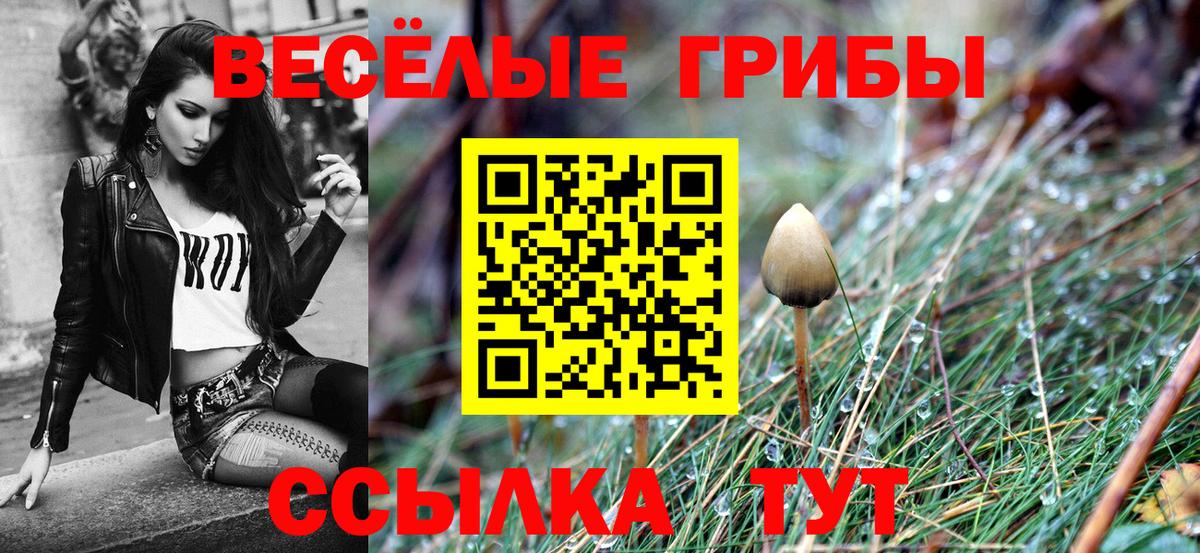 Джанкой  Псилоцибиновые грибы мухоморы  Вход с VPN 
